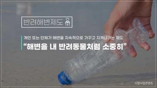 '바다 가꾸기 프로젝트' 제주 시범사업 반려해변 제도 소개 콘텐츠