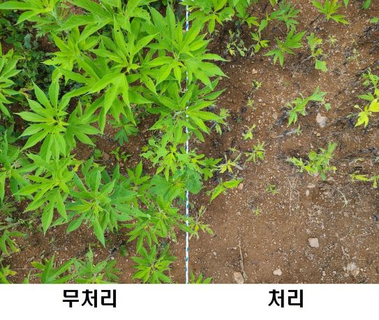 백두환경 이미지