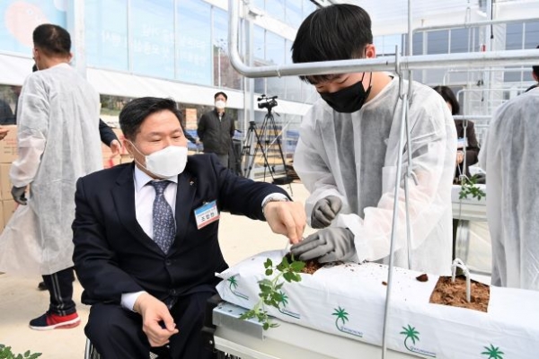푸르메여주팜㈜ 온실개장 및 모종식재 행사에 참가한 한국장애인고용공단 조향현 이사장(왼쪽)과 푸르메여주팜㈜ 장애인근로자가 방울토마토 모종을 함께 심고 있다.