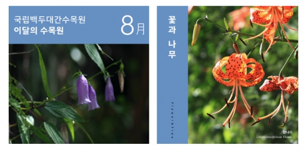 (왼쪽) 금강초롱꽃, (오른쪽) 참나리(사진제공=국립백두대간수목원)
