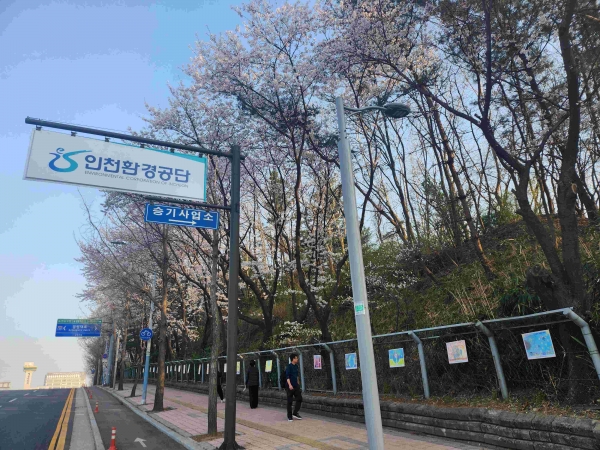 시민들이 능허대로 앞 벚꽃길에 전시된 환경그림을 관람하고 있다.(사진제공=인천환경공단)