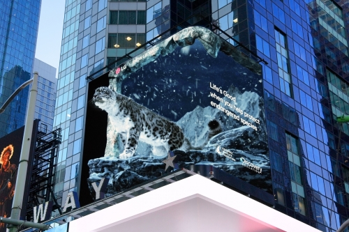 LG전자가 미국 뉴욕 타임스스퀘어 전광판에서 'LG와 함께하는 위기 동물 보호 캠페인(The LG Endangered Species Series)' 영상을 상영한다.