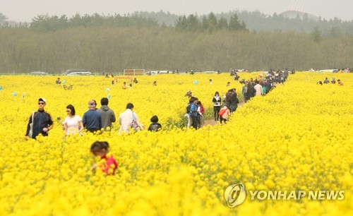 제주도.jpg