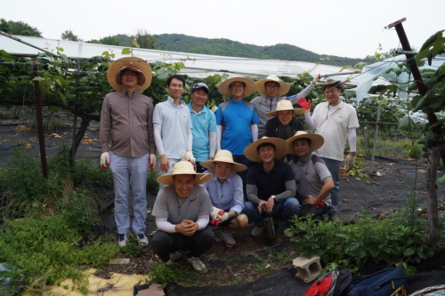 ▲ NH아문디자산운용 임직원들이 지난 23일과 24일 이틀 동안 율길 1리 마을에서 일손 돕기 봉사활동을 했다.