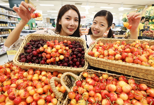 체리.jpg