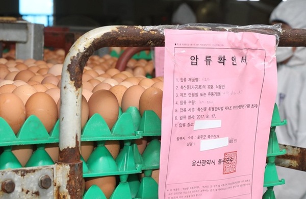 ▲ 살충제 성분 검출로 압류된 계란. 연합뉴스 제공