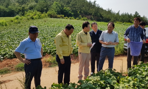 ▲ 김광수 농협금융지주 회장 (왼쪽에서 세 번째)