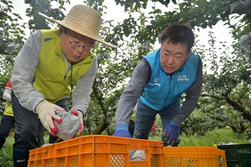 (20190910)(보도자료) NH농협금융, 태풍 링링 피해극복 위한 전사적 지원 나서 사진3.JPG