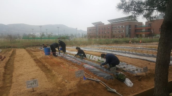 지난해 운북사업소 주말농장 모습