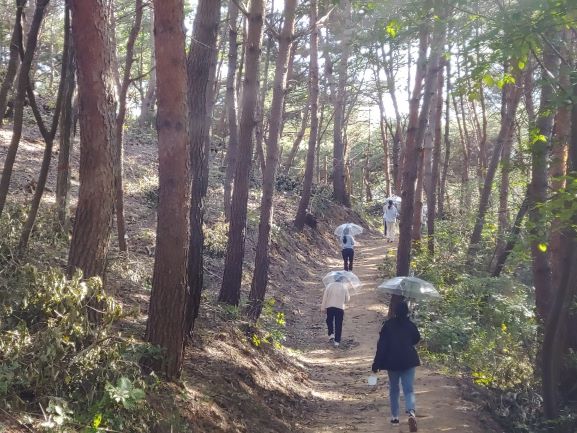 (사진제공=한국산림복지진흥원)