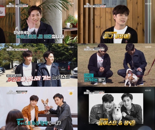 [사진= KBS2 '개는 훌륭하다' 방송 화면 캡처]