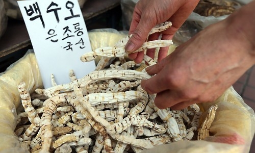 내츄럴엔도텍이 판매한 백수오(사진=연합뉴스).