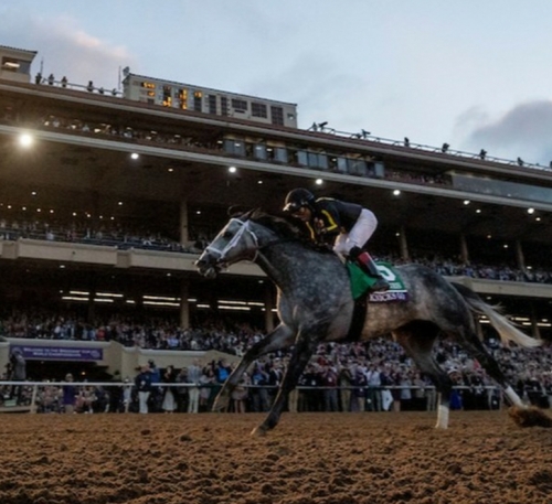 한국마사회 닉스고 브리더스컵 클래식 우승 모습 [사진= breeders cup 제공]