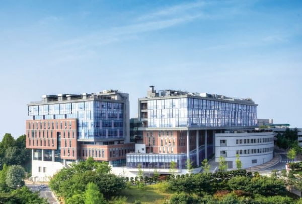고려대학교 의과대학