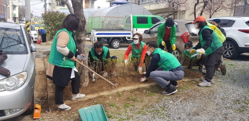 철쭉 식재 사진