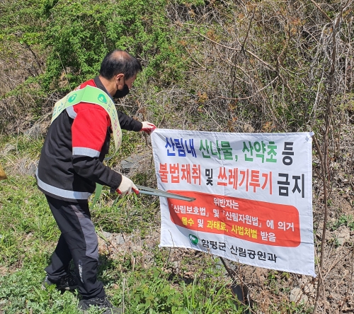함평군, 봄철 산나물 불법채취 특별단속(사진=함평군제공)