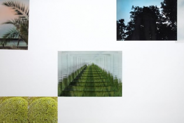 기슬기 Photos, Library, All Photos, Select Items, Edit, Done, 2021