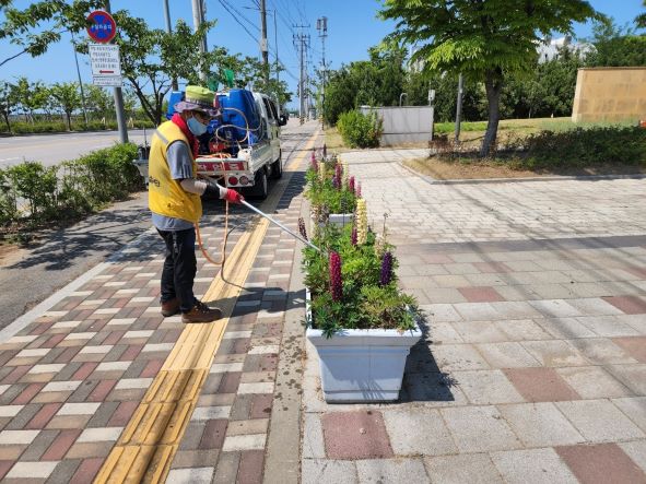 (사진제공=인천경제자유구역청)
