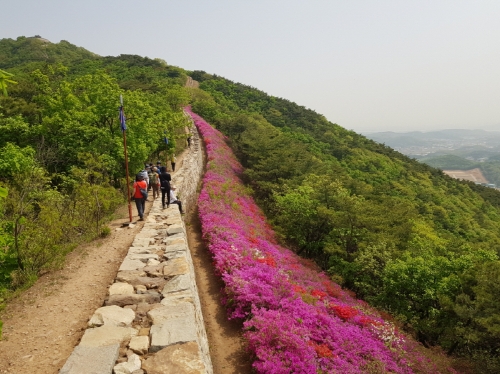 문수산 숲길