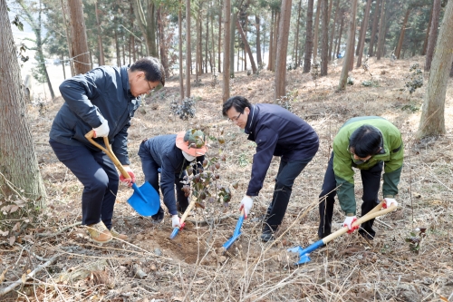 우승희군수가 지난10일 식목일을 기념해 공직자들과 나무심기를 하는 모습