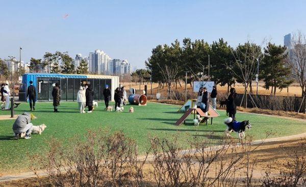 송도 달빛공원 도그파크(사진제공=인천시)