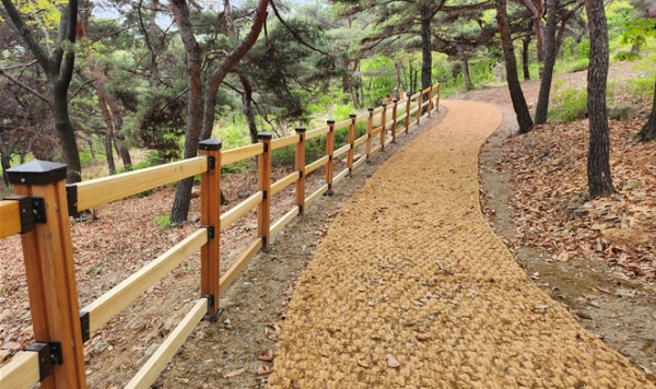 조성된 공원 숲길(사진제공=인천시)