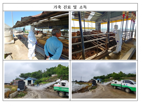 (사진제공=인천시)