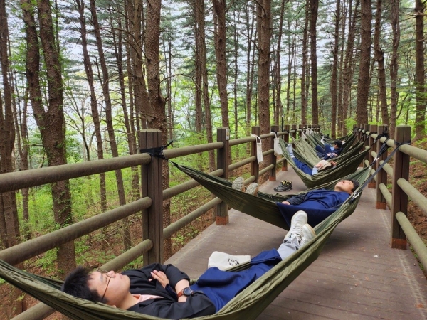 숲해먹테라피(사진제공=산림복지진흥원 국립김천치유의숲)
