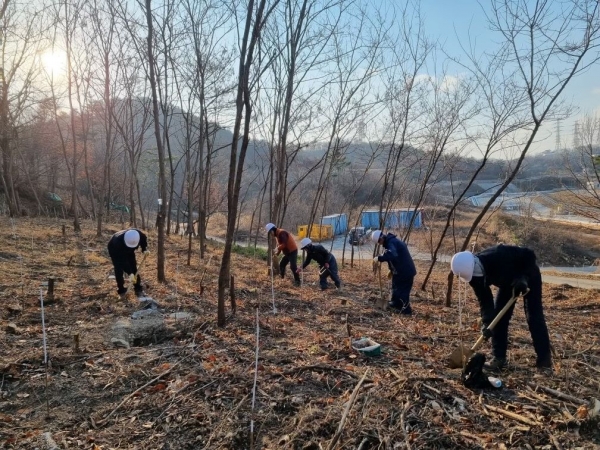 한국석유공사 울산지사에서 탄소흡수원을 조성하기 위해 상수리 나무를 식재하고 있다.