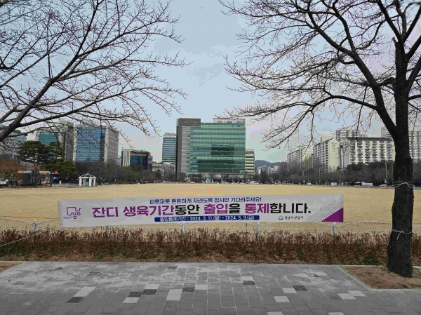 성남시 분당구청 앞 잔디광장이 잔디휴식기간제 시행으로 출입이 통제되고 있다.