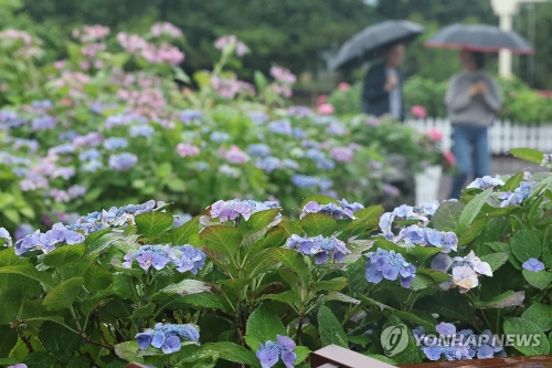 [오늘 날씨] 전국 구름 많고 남부지방 중심으로 곳곳 비