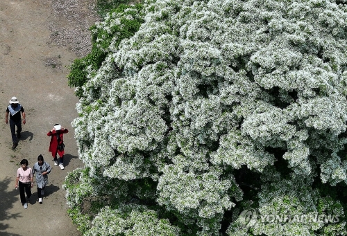 [오늘 날씨] 전국 대체로 맑음…큰 일교차 주의