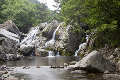 ▲'전북 무주 초록빛 여행' 이미지(덕유산 구천동 어사길) [사진= 교원투어 여행다음 제공]