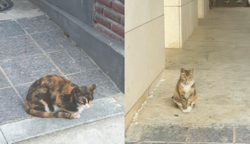 [사진 = 안솔지 기자]