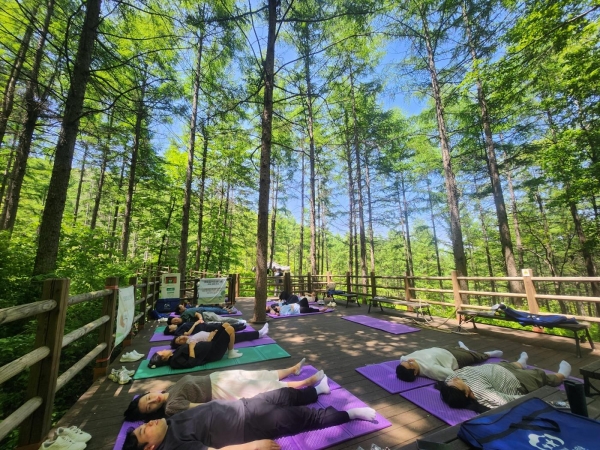지난 18일 경북 김천시 증산면 한국산림복지진흥원 국립김천치유의숲 자작나무숲에서 김천지역 임신부 가족들이 숲태교 프로그램에 참여하고 있다. (사진제공=한국산림복지진흥원 국립김천치유의숲)