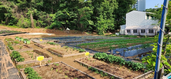 인천시 농업기술센터는 6월 7일부터 8월 1일까지 관내 치유농장과 공공기관을 연계한 '치유농장 연계 치유농업프로그램'을 운영한다.