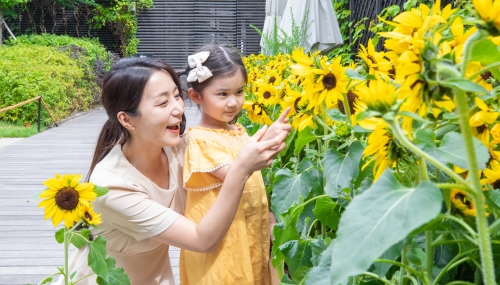 현대백화점 썬플라워 인 목동