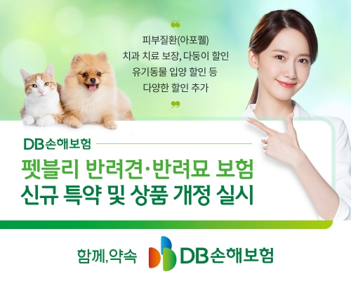 사진=DB손보
