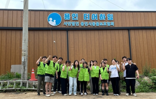 사진=DB손보