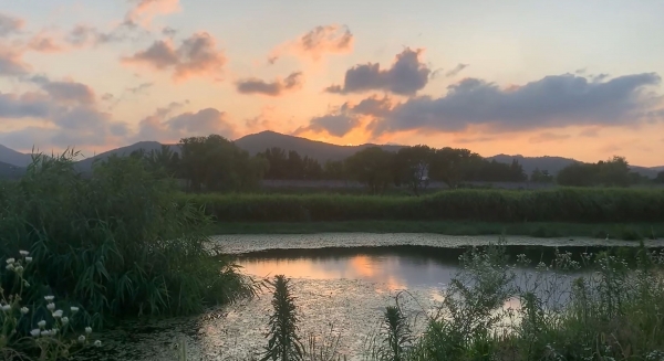 우수 수상작 '탄천이 부르는 성남의 노래' 영상 캡쳐본(사진제공=성남시)
