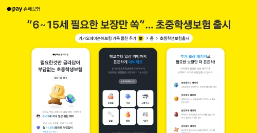 사진=카카오페이손보