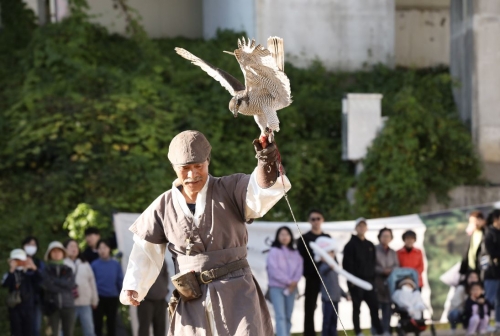 ▲ 2023년 응봉 매사냥 축제에서 무형문화재 박용순 응사가 매사냥을 시연하는 모습 [사진= 성동구 제공]