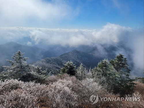 사진=연합뉴스
