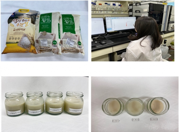 인천시 보건환경연구원은 인천섬쌀을 활용해 뇌 건강과 혈압관리에 도움이 되는 가바(GABA) 성분을 강화한 기능성 발효음료를 개발했다고 밝혔다.