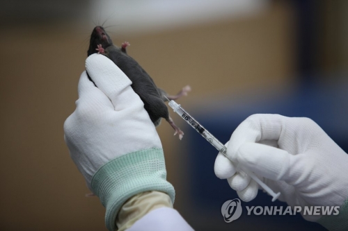 [사진=연합뉴스]
