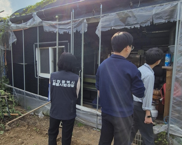 인천시(시장 유정복) 특별사법경찰은 10월 7일부터 11월 15일까지 계양구와 서구 일대를 중심으로 관할 구청과 하반기 개발제한구역 합동단속을 실시했다고 밝혔다.