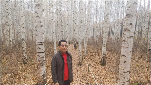 ▲원대리 자작나무 숲에서