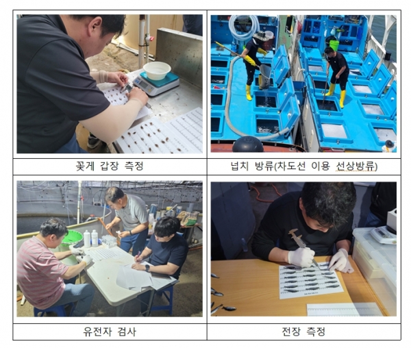 해면 수산자원 조성사업(사진제공=한국어촌어항공단)