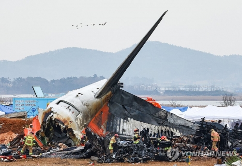 30일 오전 전남 무안군 무안국제공항 제주항공 여객기 충돌 폭발 사고 현장 인근에서 새 무리가 비행하고 있다.