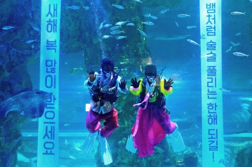 새해 인사 나누는 아쿠아리스트. 사진=롯데월드